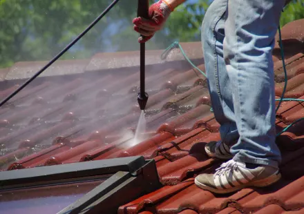 Roof Clean Service