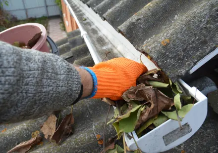 Gutter Cleaning Service